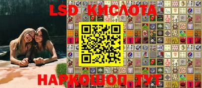 крисы Железногорск