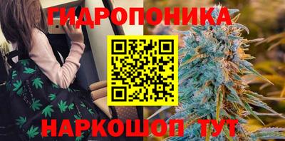 ECSTASY Ефремов