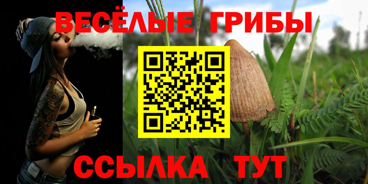 Астрахань  Галлюциногенные грибы Cubensis  что такое наркотик  Вход с VPN 